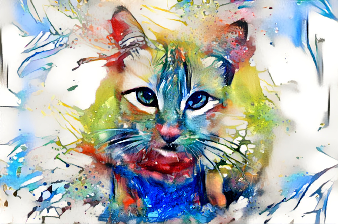 Paint by Cat