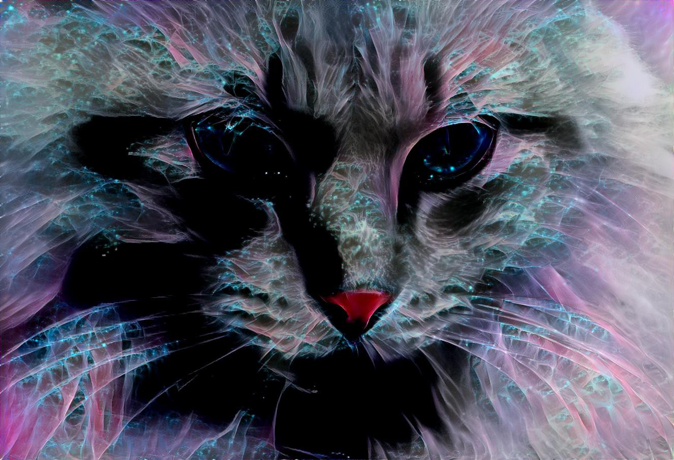 Astral Familiar Cat