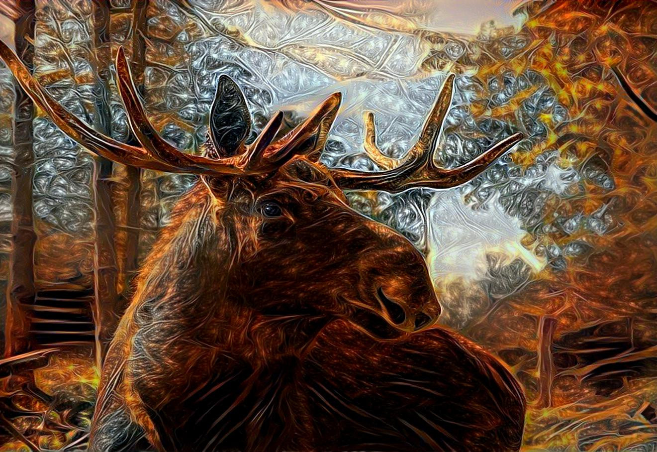 Elk