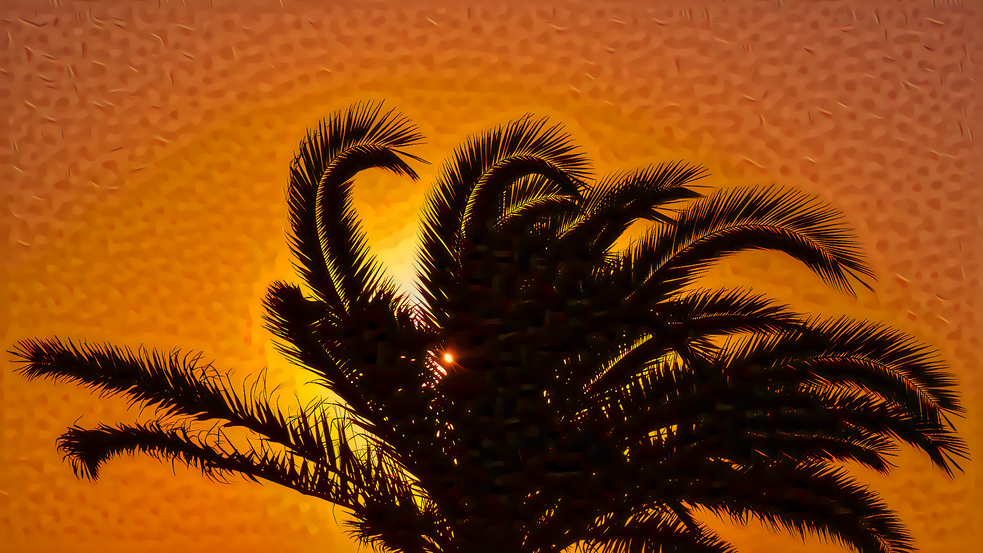 Palm Tree at Sunset