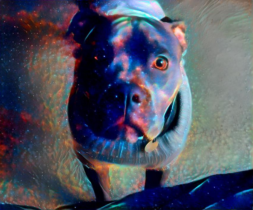 Space hound