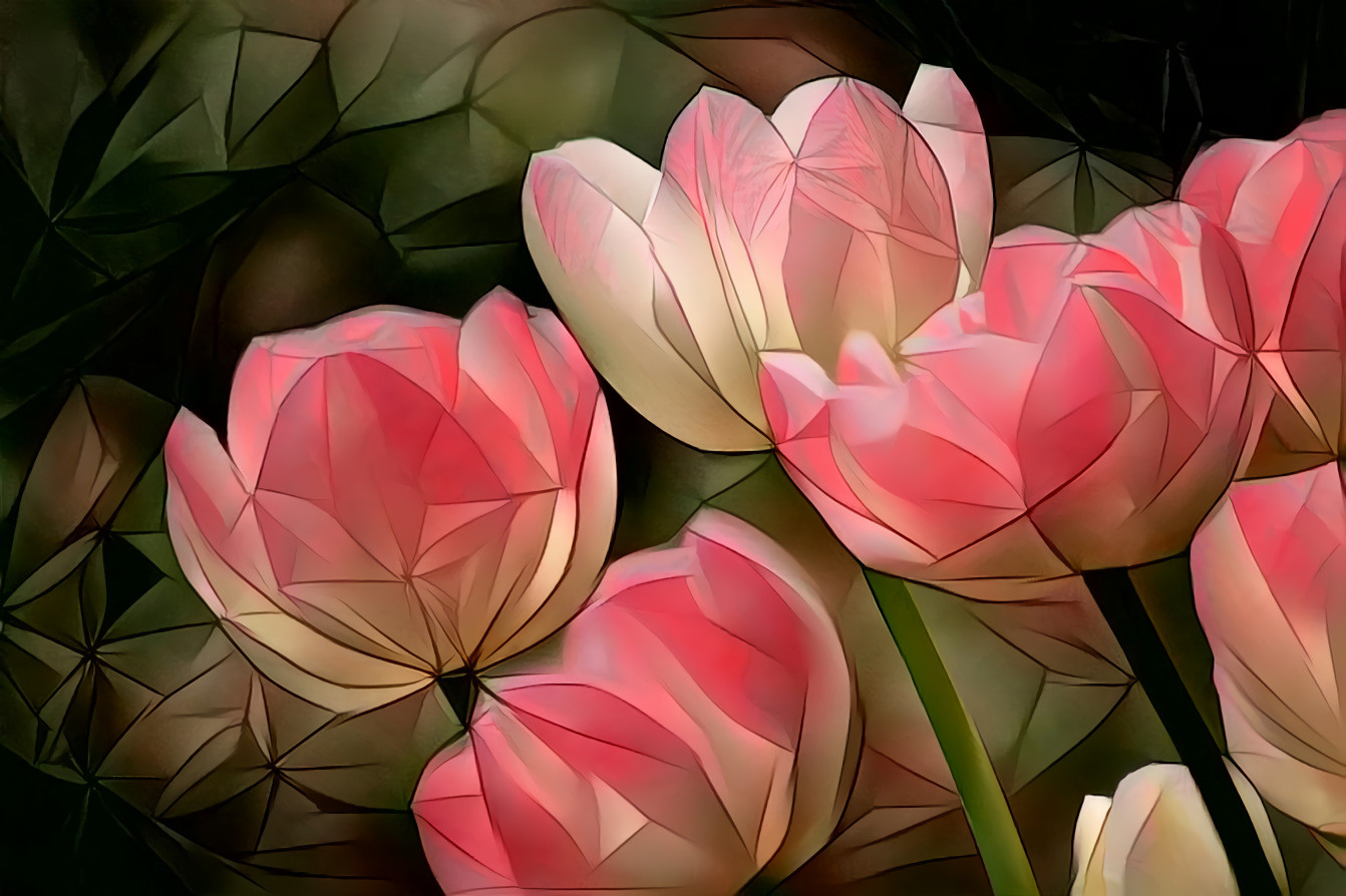 Pink Tulips