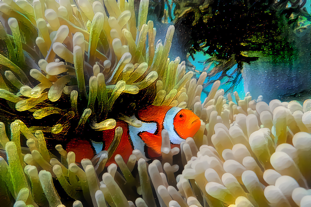 Little Nemo, Great Barrier Reef, Queensland, Australia.  Source photo by Georgia Doglioni on Unsplash.