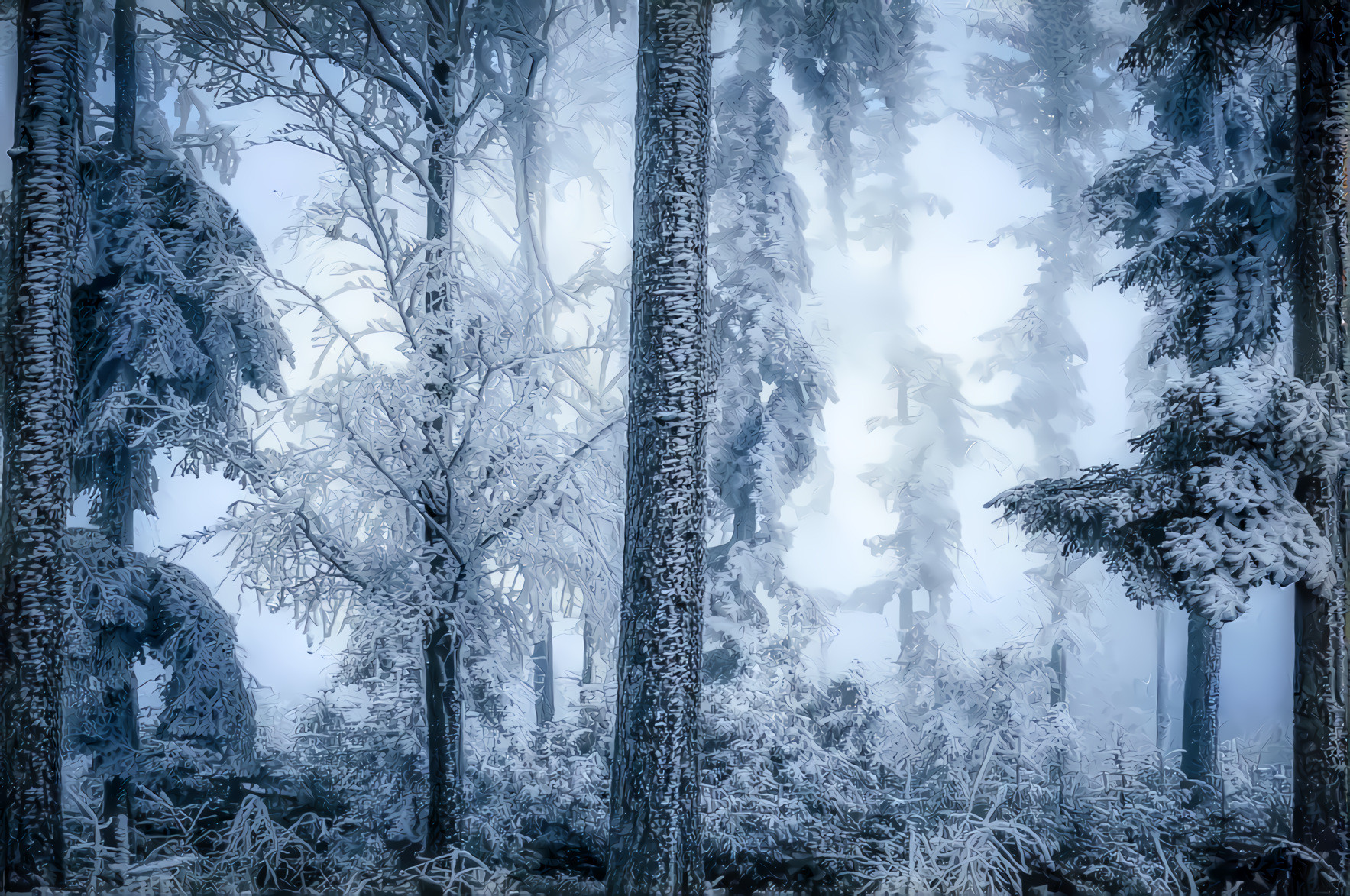 Winter Snow Forest