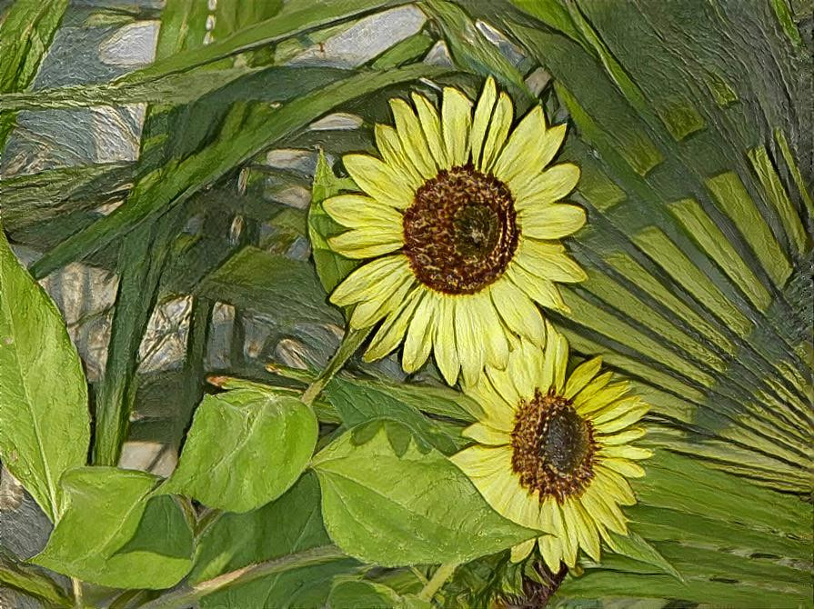 Sunflower shade