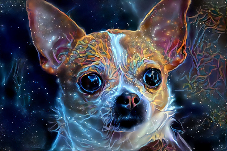 Galaxy Dog