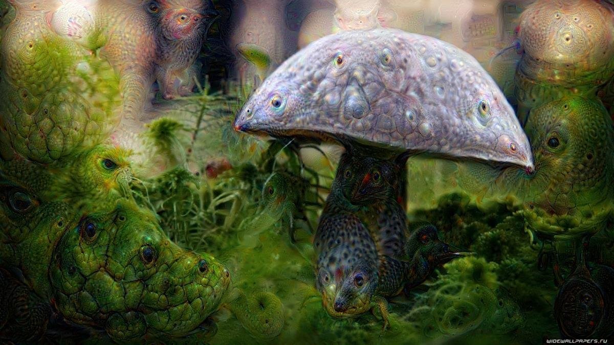 shroom 2