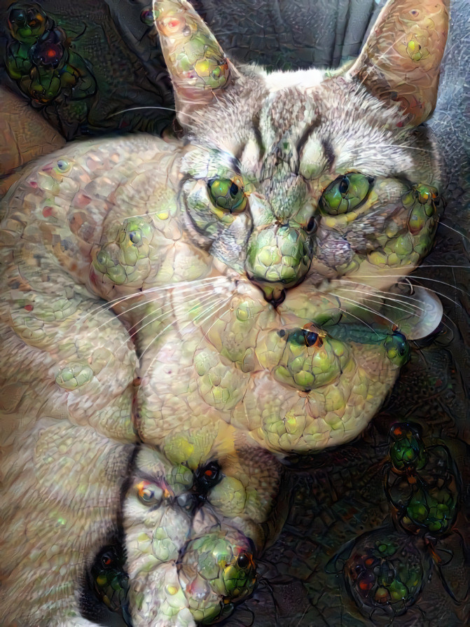 Snake cat