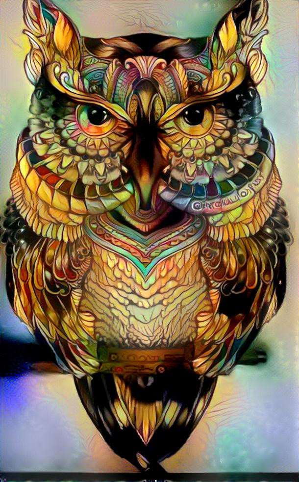 Owl