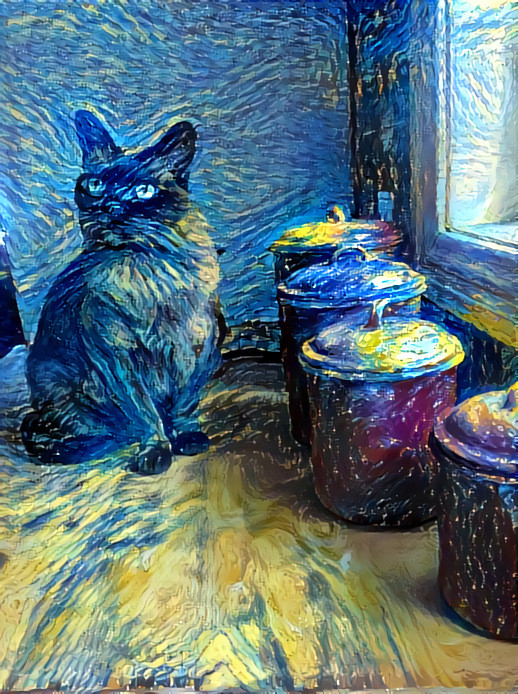 Mimi on a starry night