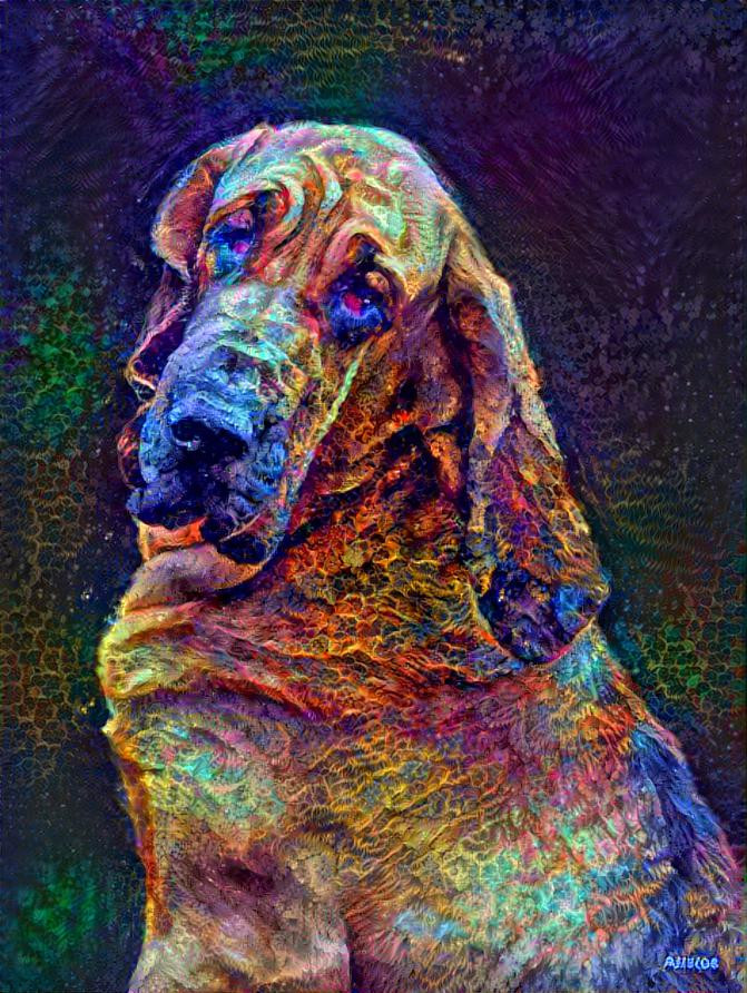 My bloodhound girl Lorenza