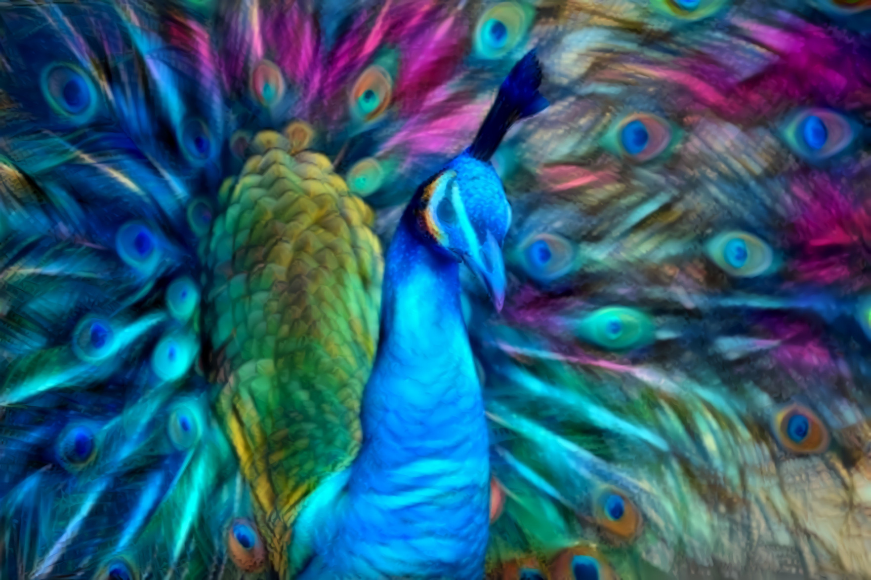 Peacock [FHD]