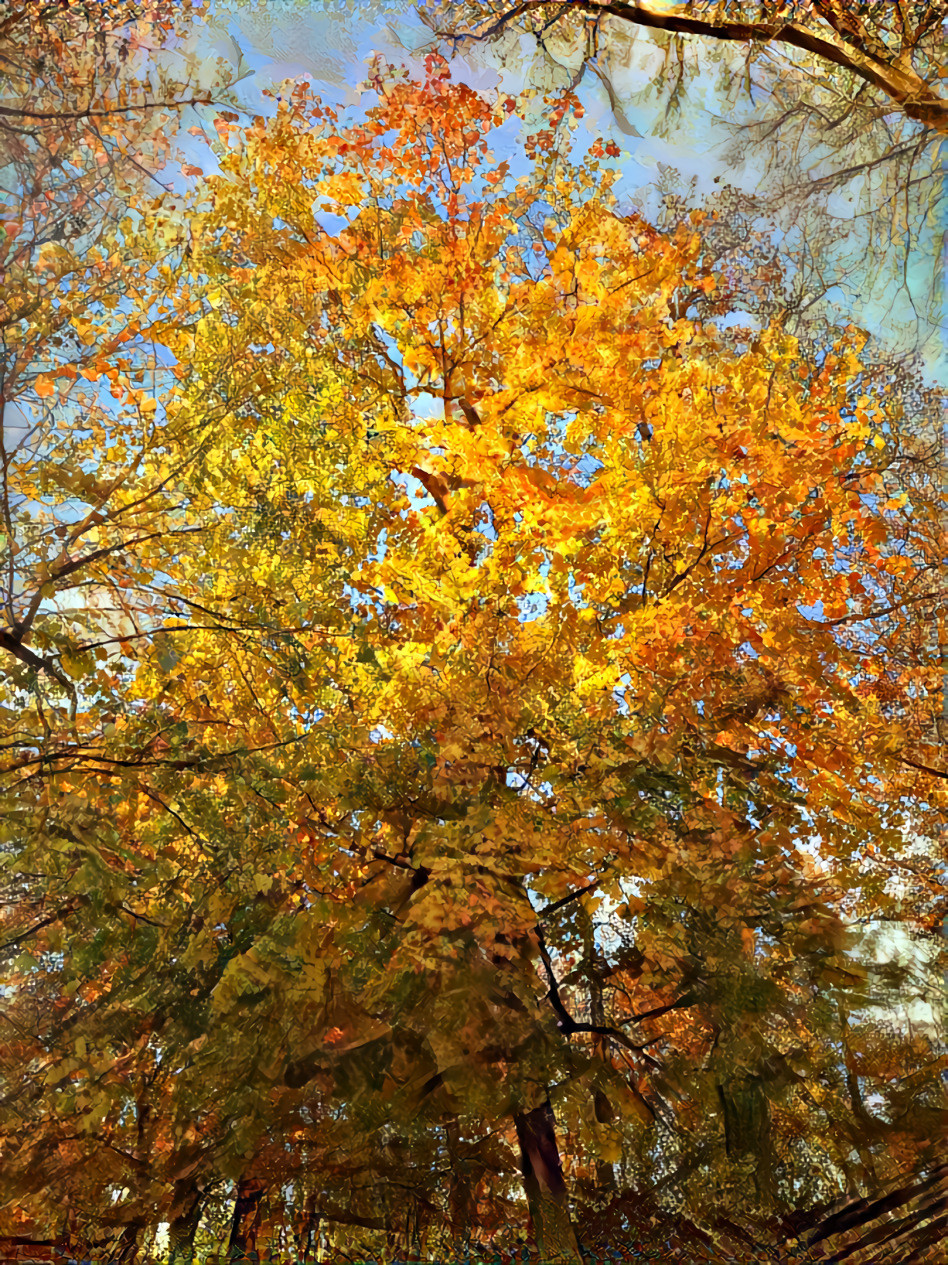 29 Oct 2021 - Colors of autumn