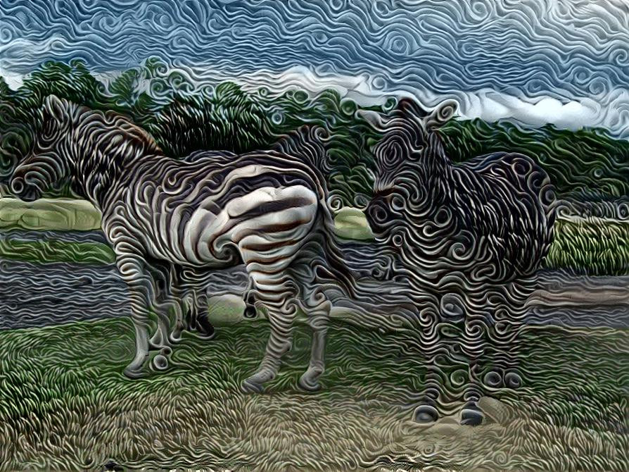 Zebras