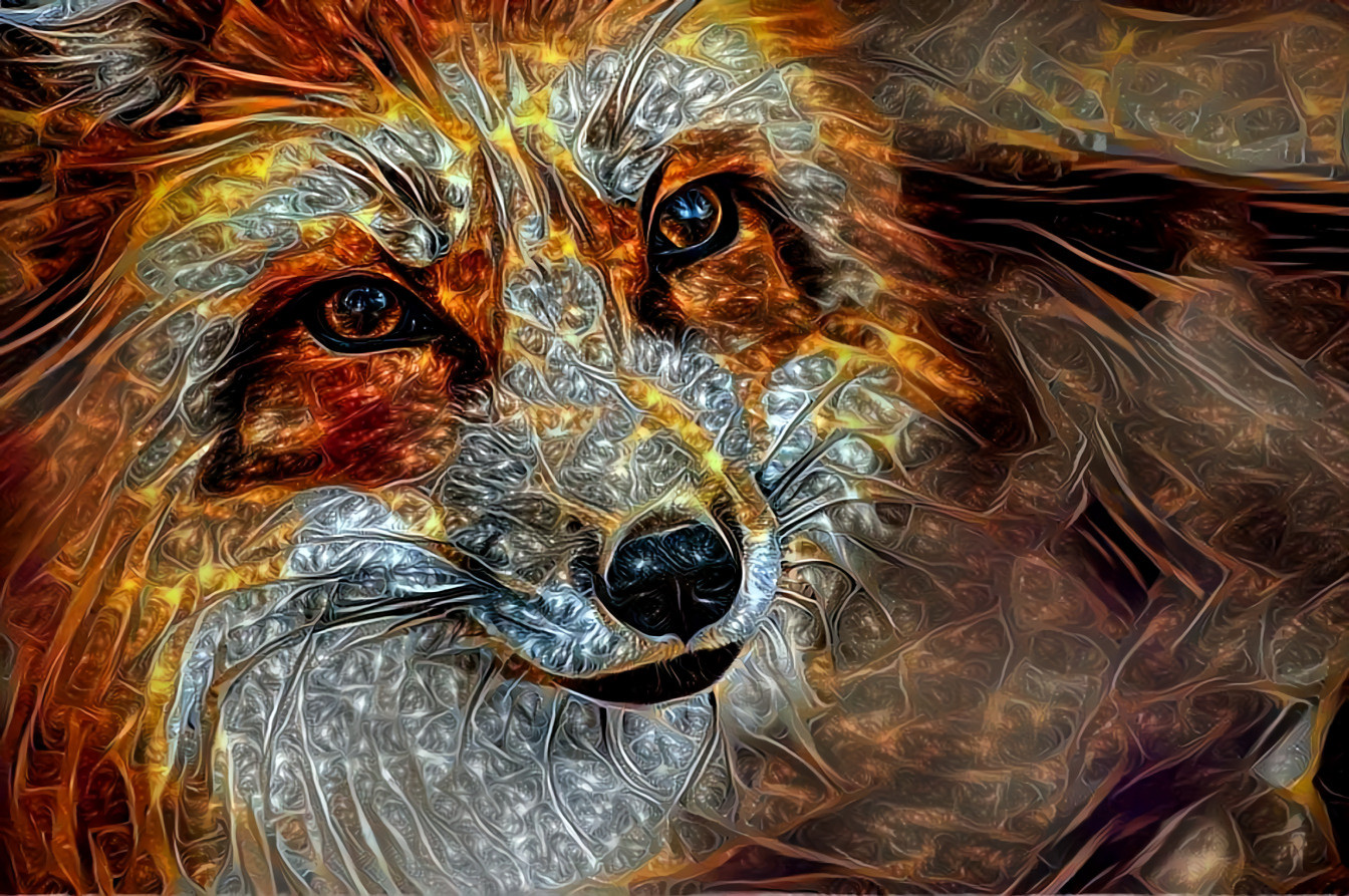 fox