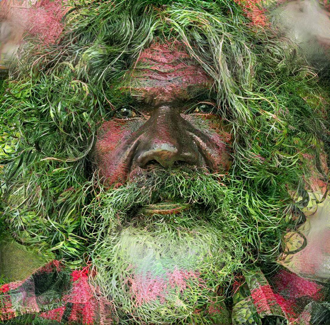 David Gulpilil via wattle bush