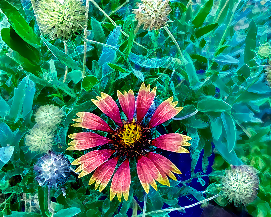 The Garden at La Posada, Winslow, Arizona