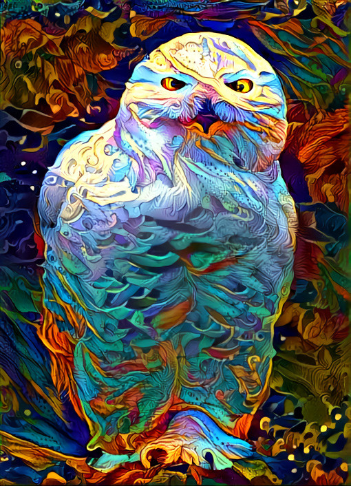 Owl