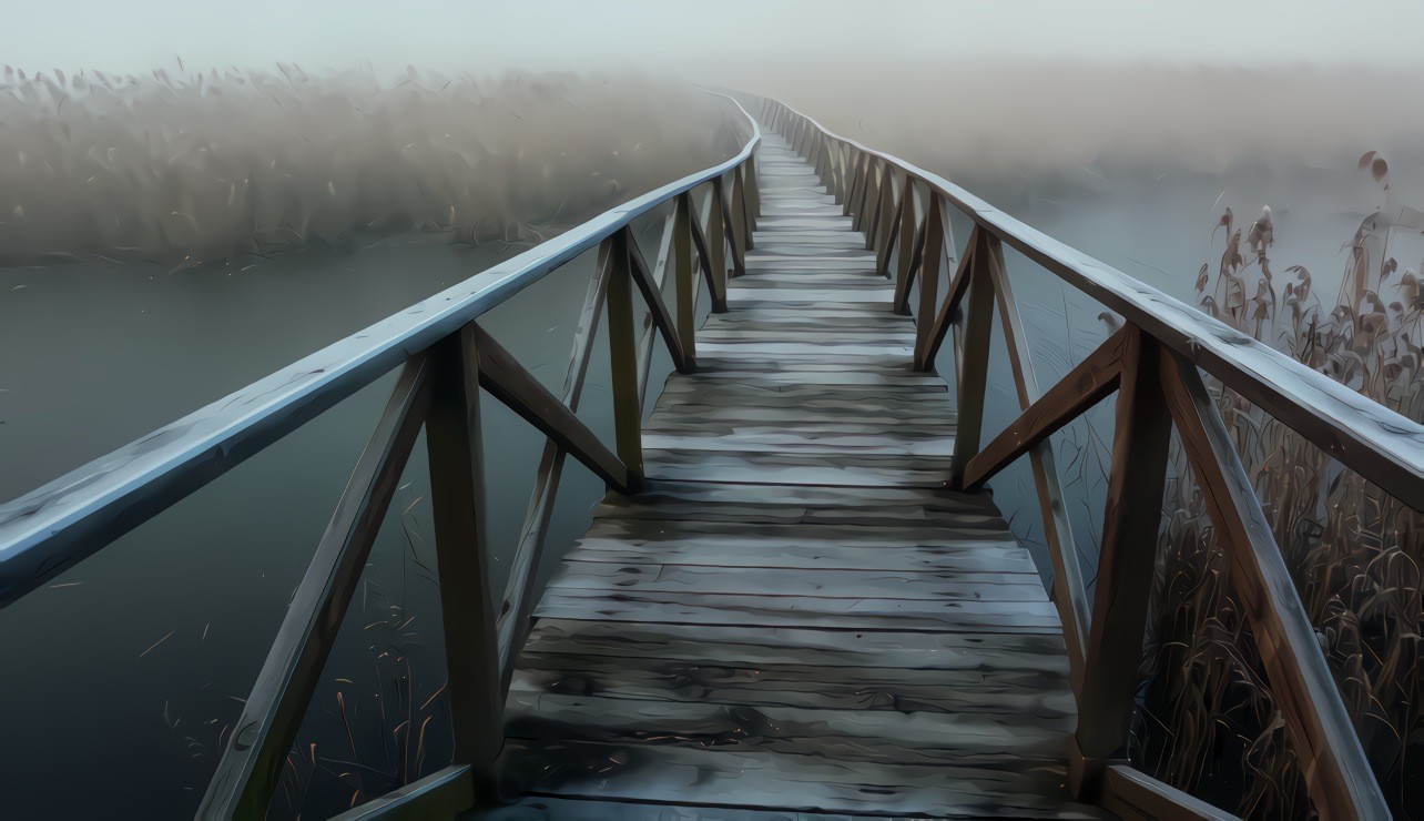 Boardwalk through the marsh