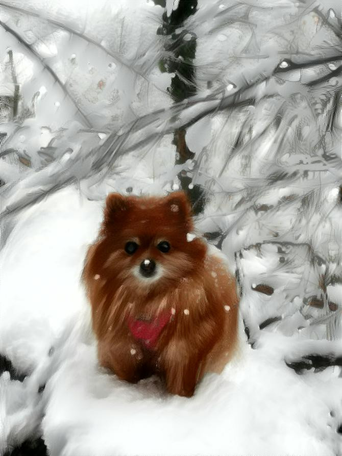 Foxie in the snow