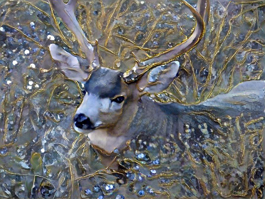 Mule Deer