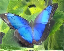 Blue Morpho (Paper)