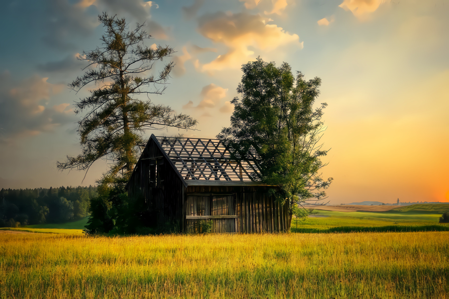 Old Barn and Meadow