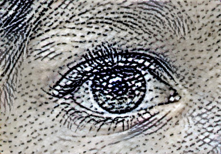 ben franklin eye