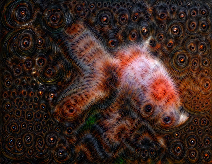 Fuzzy Fish