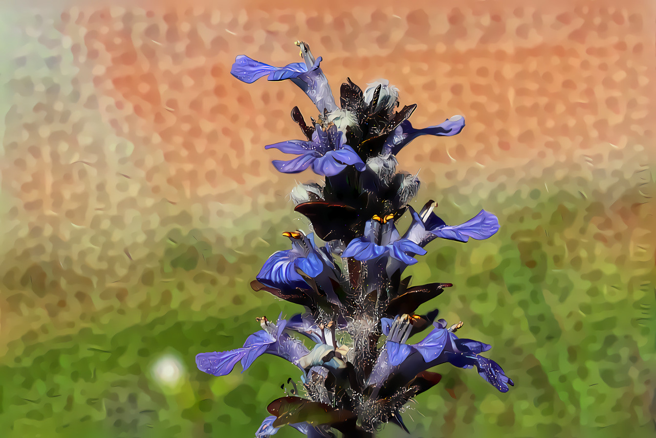 Dead Nettle Flower