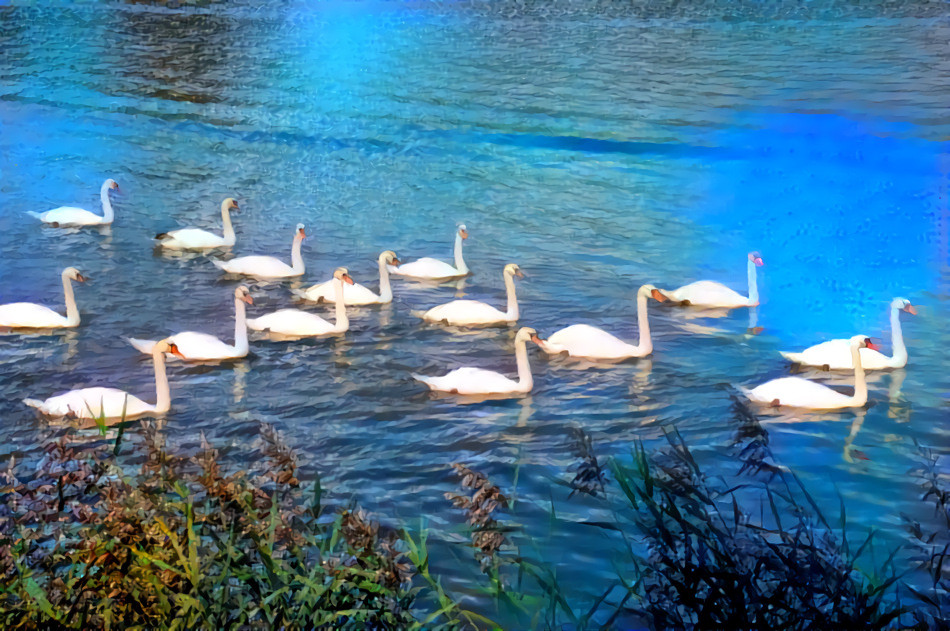 Schwanensee / Swan Lake!!!   (NOK Germany)