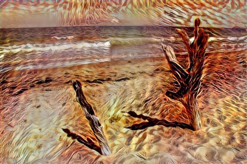 driftwood