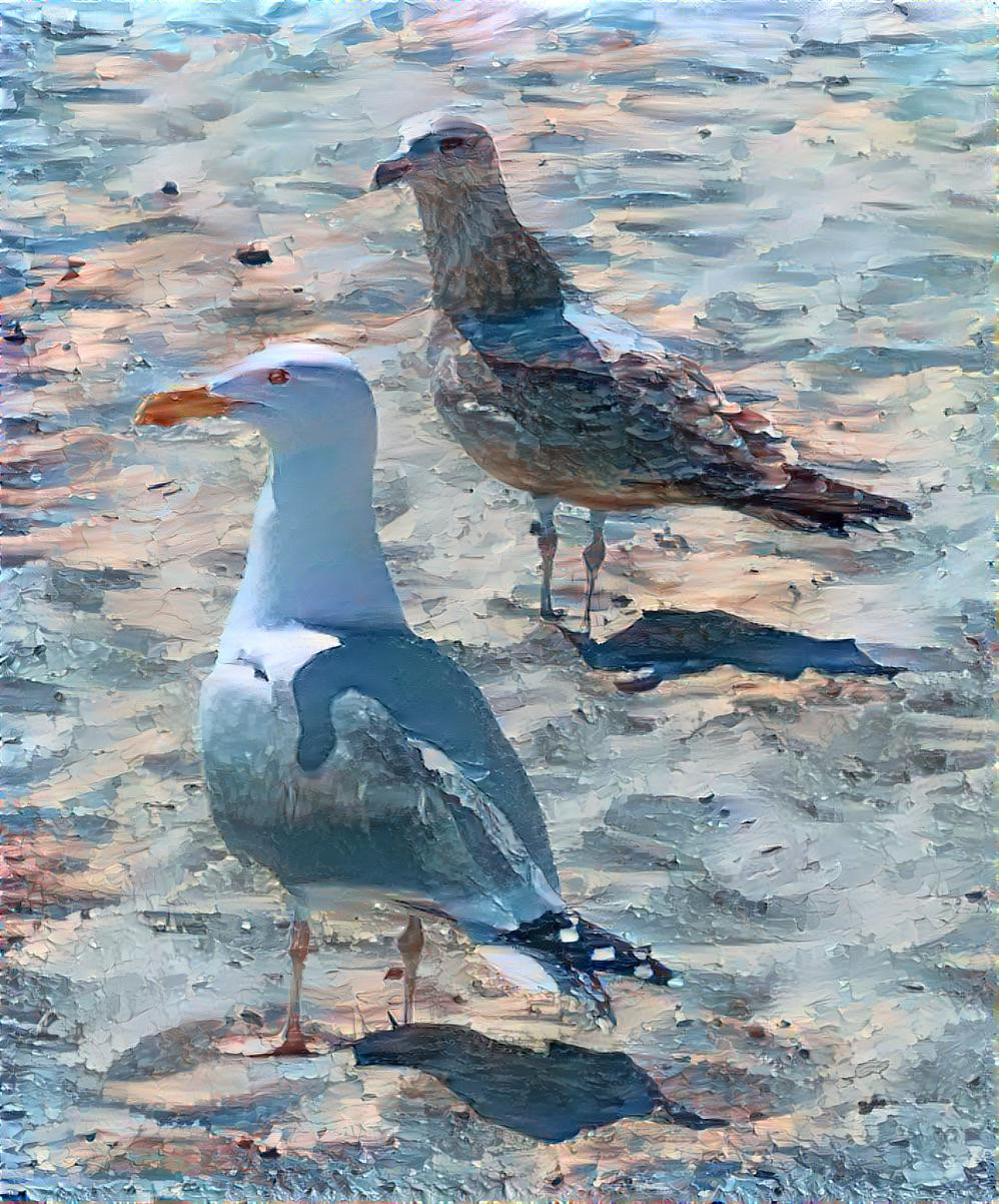 2 Seagulls