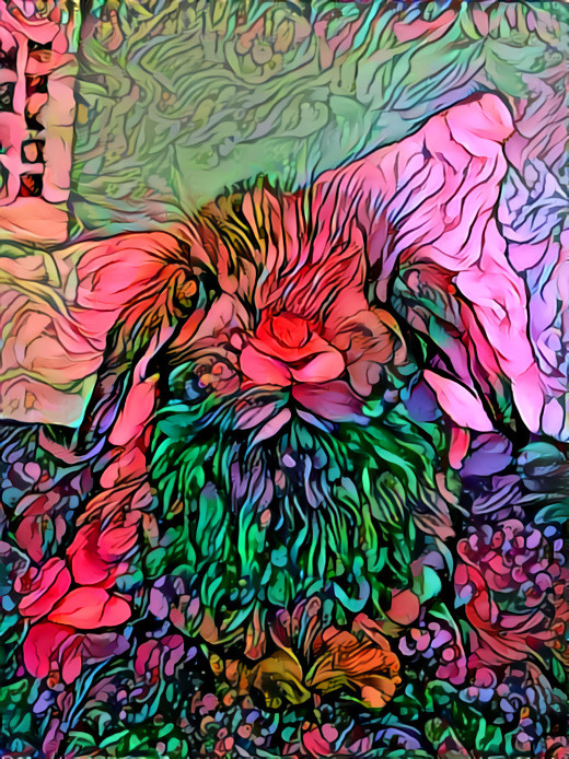 Flower Bunny