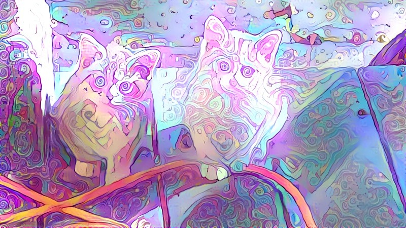 Pink Double Kitty Swirls