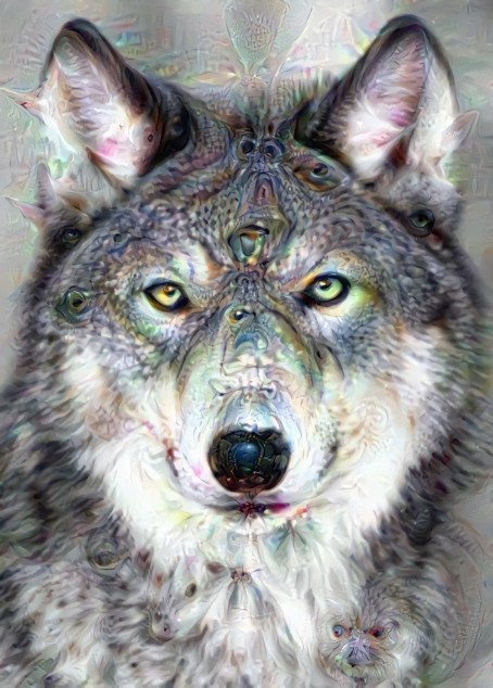 Deep Dream Wolf Stare Down