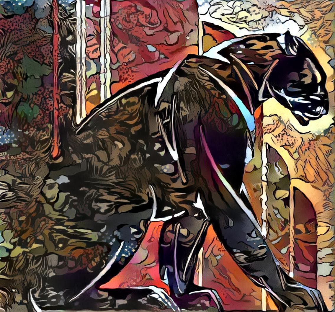 Panther