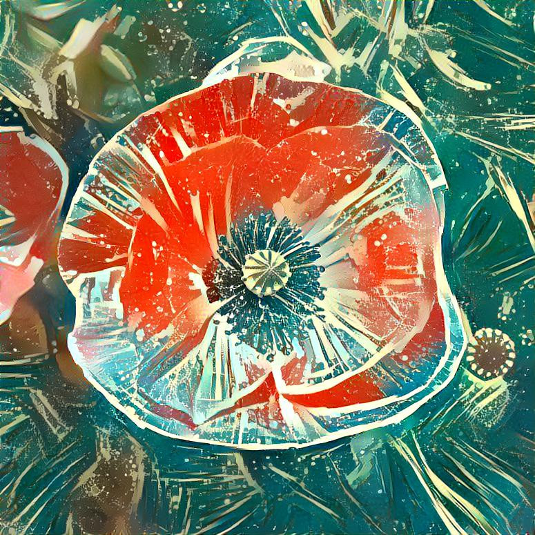 Poppy Print