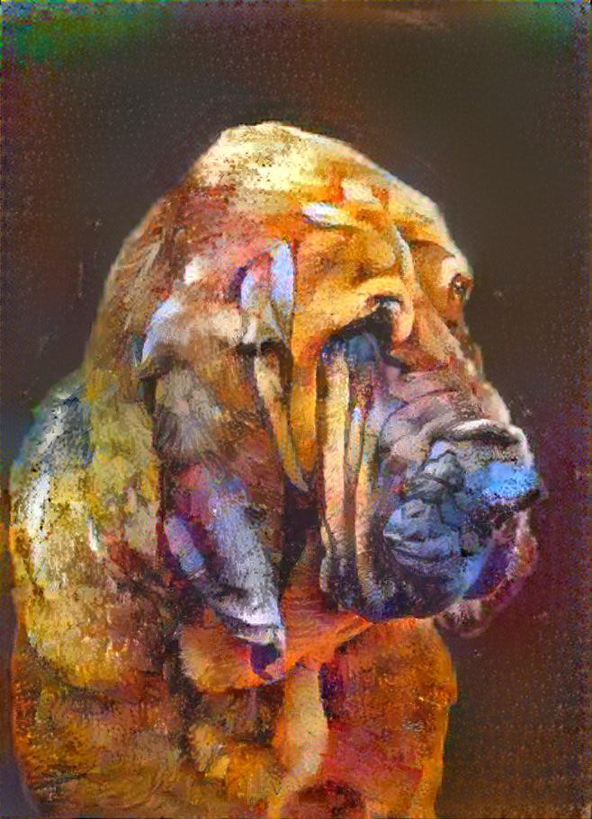 My bloodhound boy ROBINSON