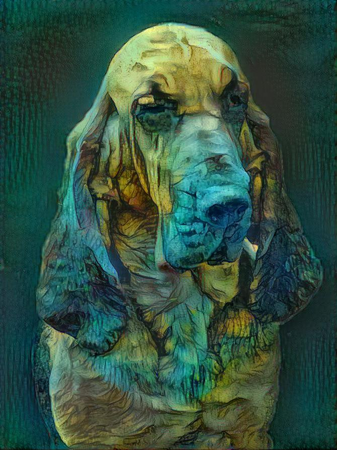 My bloodhound girl Carmen