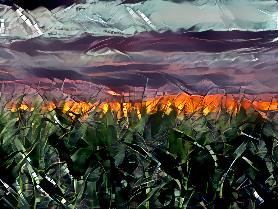 Sunset Over the Cornfield #1