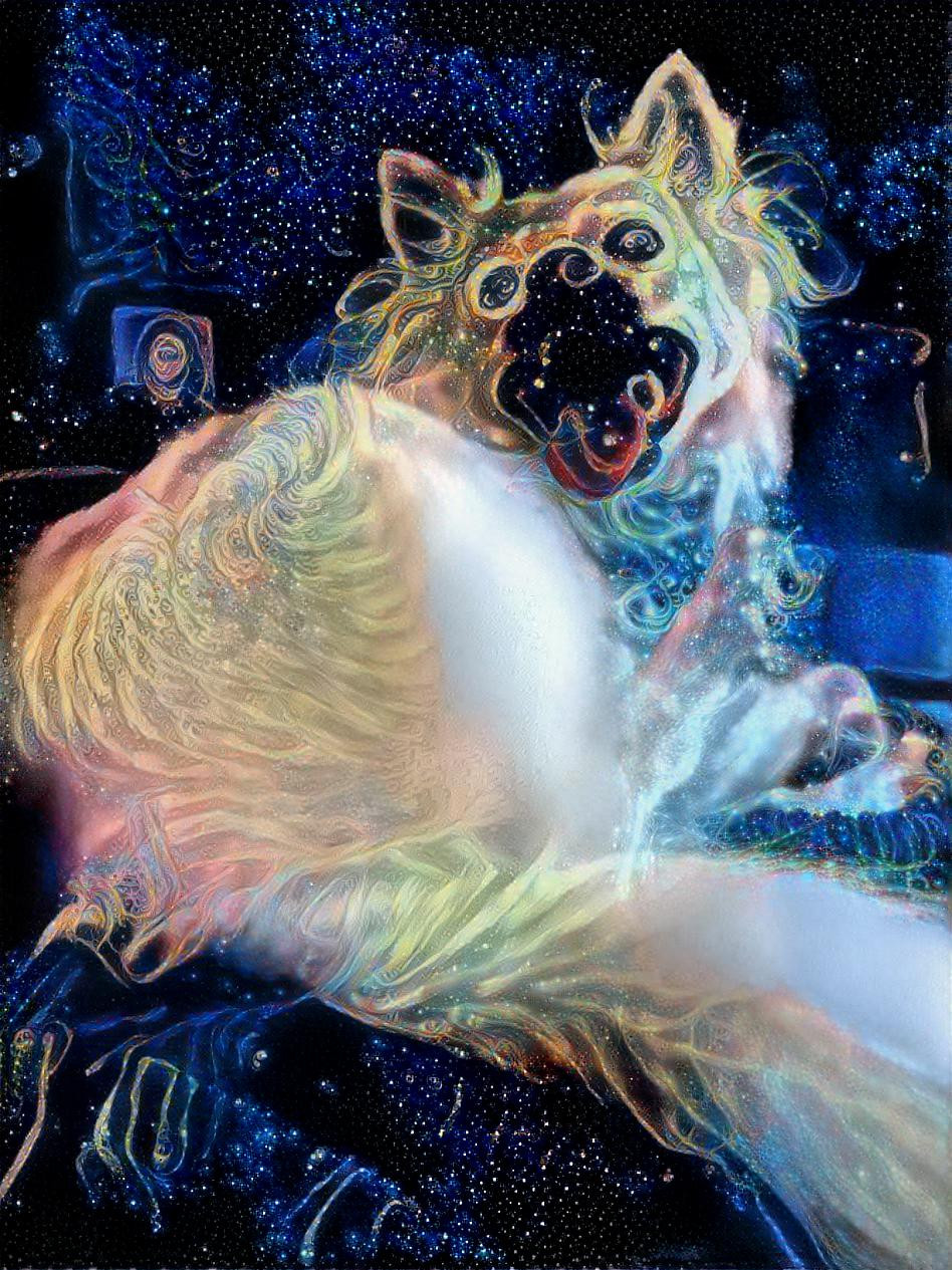 Space Doge 2