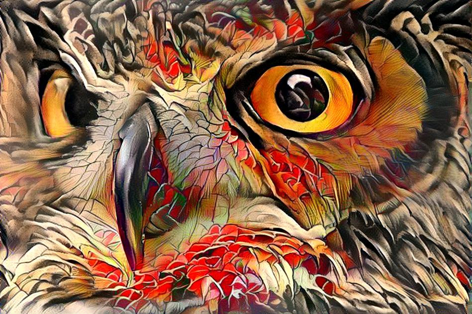 Owl