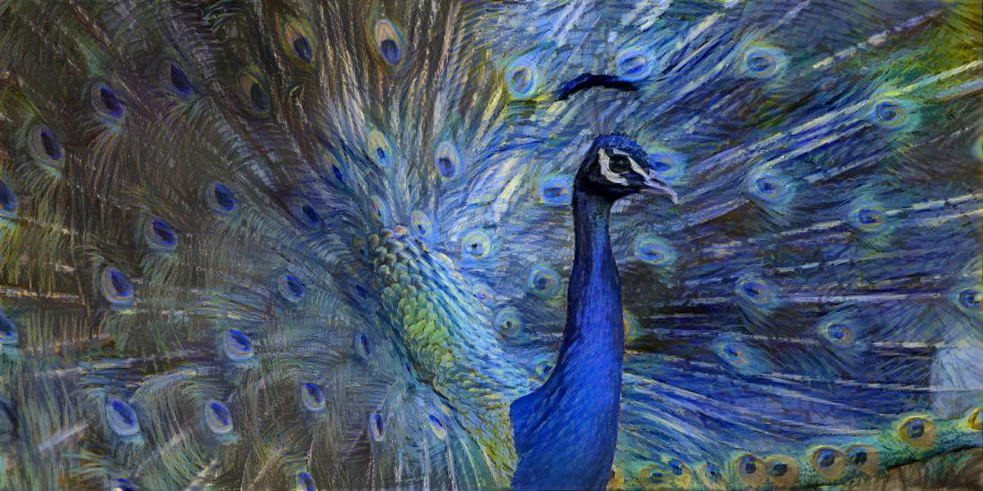 peacock2