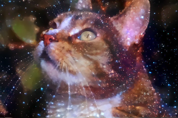 Galaxy Cat