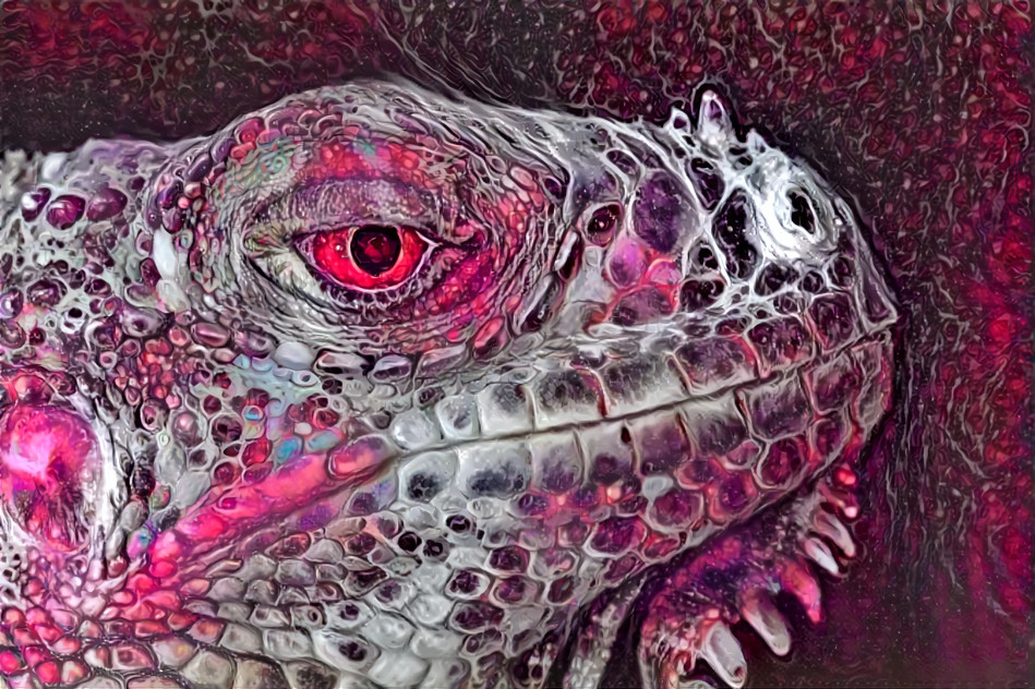 Iguana