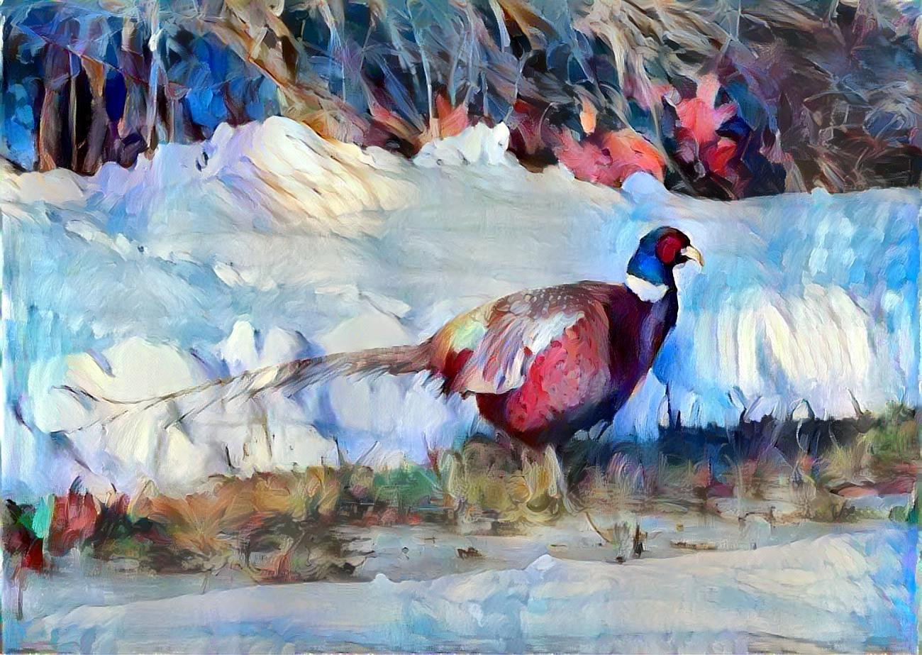 Pheasant