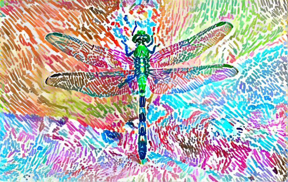 Dragonfly again