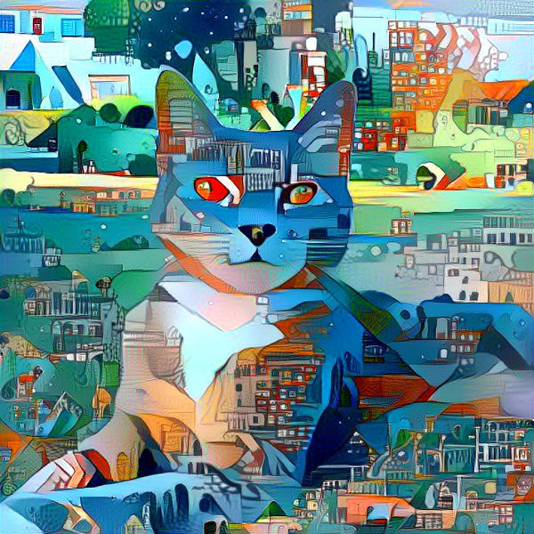 City cat