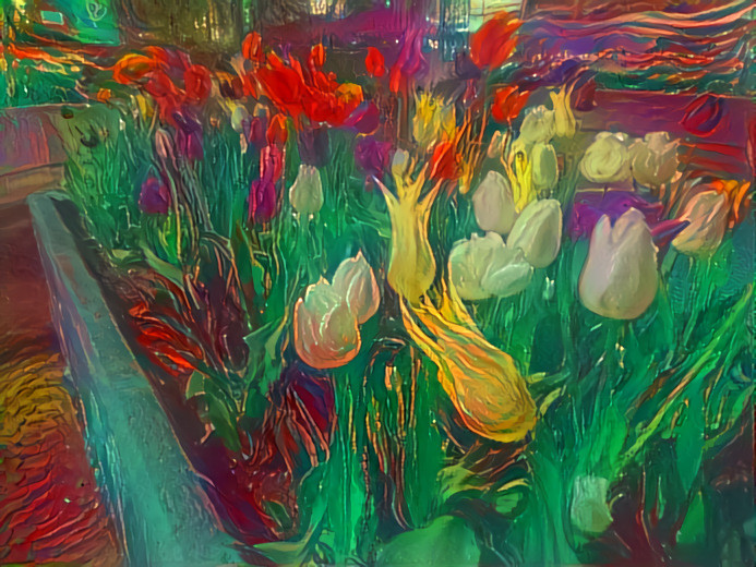 Tulips